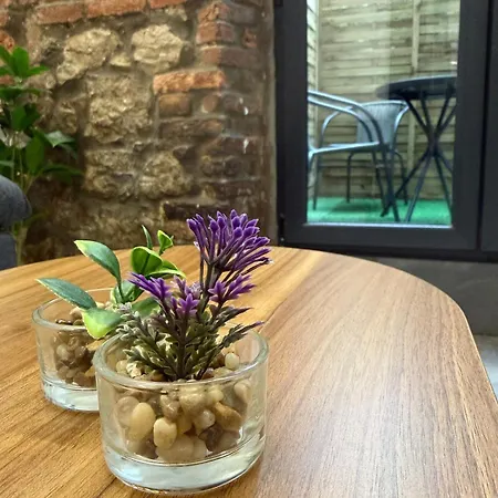 Loft En El Centro De Con Terraza * Σανταντέρ